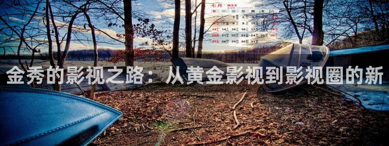在線看國產麻豆影視：金秀的影視之路：從黃金影視到影視圈的新