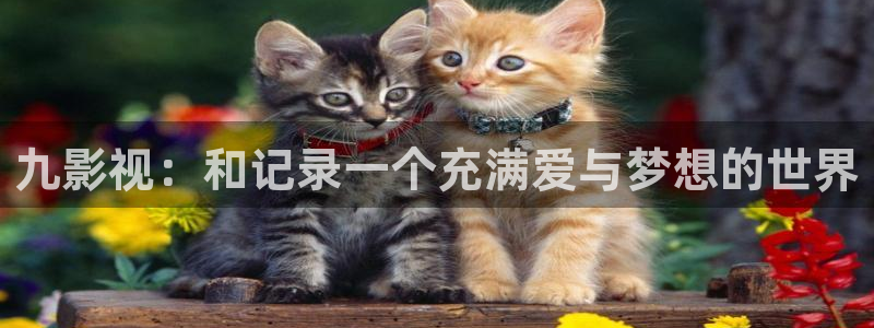 韓國(guó)麻豆電影：九影視：和記錄一個(gè)充滿愛與夢(mèng)想的世界